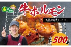国産牛ホルモン3品 お試しセット 約500g 焼肉  味付け 肉 BBQ バーベキュー もつ ホルモン 国産 小分け おつまみ 冷凍 アウトドア 永平寺町 人気  [B-019001]　