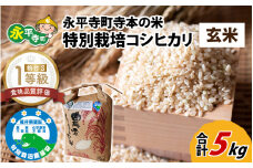 令和6年産  無農薬・化学肥料不使用 永平寺町寺本の米 特別栽培コシヒカリ 玄米 5kg [B-027009]
