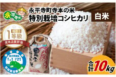 令和6年産  無農薬・化学肥料不使用 永平寺町寺本の米 特別栽培コシヒカリ 白米 10kg [C-027008]