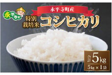【白米】 令和6年度産 永平寺町産 農薬不使用・化学肥料不使用 特別栽培米コシヒカリ 5kg [B-033013]