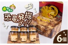 恐竜発掘プリン 特製ギフトボックス（6個入り） 冷凍 瓶詰 プリン おもちゃ 恐竜博物館 ティラノサウルス トリケラトプス スピノサウルス モササウルス 食玩 玩具菓子 きょうりゅう 男の子 プレゼント スイーツ デザート おやつ 洋菓子 永平寺町 送料無料 ダイナソー お土産 お菓子 洋菓子 ギフト [B-026032]
