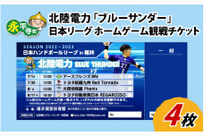 北陸電力ハンドボール部「ブルーサンダー」日本リーグ ホームゲーム 観戦チケット【4枚】[B-024006]