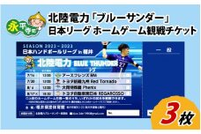 北陸電力ハンドボール部「ブルーサンダー」日本リーグ ホームゲーム 観戦チケット【3枚】[B-024005]
