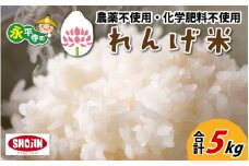 令和6年産  農薬不使用・化学肥料不使用 永平寺町産 れんげ米 5kg [B-002026] / 白米 米 5キロ お米 コシヒカリ こしひかり 精米 福井