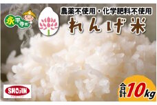 令和6年産  農薬不使用・化学肥料不使用 永平寺町産 れんげ米 10kg（5kg×2袋）[C-002029] / 白米 米 10キロ お米 コシヒカリ こしひかり 精米 福井 無農薬 無農薬米 こめ コメ 令和6 令和6年 6年 6年産