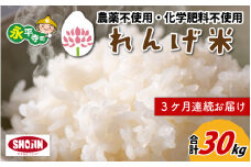 【3ヶ月連続お届け】令和5年産  農薬不使用・化学肥料不使用 永平寺町産 れんげ米 10kg×3ヶ月（計30kg） [G-002017]