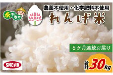 【6ヶ月連続お届け】令和5年産  農薬不使用・化学肥料不使用 永平寺町産 れんげ米 5kg×6ヶ月（計30kg） [G-002018]