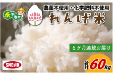 【6ヶ月連続お届け】令和5年産  農薬不使用・化学肥料不使用 永平寺町産 れんげ米 10kg×6ヶ月（計60kg） [K-002042]