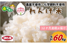 【12ヶ月連続お届け】農薬不使用・化学肥料不使用 永平寺町産 れんげ米 5kg×12ヶ月（計60kg） [K-002020]
