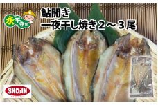 相席食堂で放送10.22 鮎開き一夜干し焼き 2～3尾 　[A-016007]