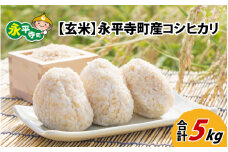 【玄米】 令和5年度産 永平寺町産 コシヒカリ 5kg  [A-033066]