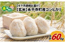 【6ヶ月連続お届け】【玄米】 令和5年度産 永平寺町産 コシヒカリ 10kg×6ヶ月（計60kg）  [J-033082]