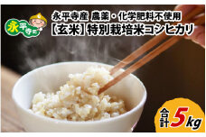 【玄米】 令和6年度産 永平寺町産 農薬不使用・化学肥料不使用 特別栽培米 コシヒカリ 5kg[B-033056] / 無農薬 減農薬 こしひかり 特別栽培 米 お米 5キロ 