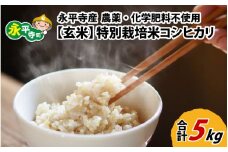 【先行予約】【玄米】 令和7年度産 永平寺町産 農薬不使用・化学肥料不使用 特別栽培米 コシヒカリ 5kg【10月上旬より順次発送開始予定】[B-033056] / 無農薬 減農薬 こしひかり 特別栽培 米 お米 5キロ 米  米 お米 コメ 送料無料 こしひかり 福井