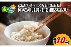 【玄米】 令和6年度産 永平寺町産 農薬不使用・化学肥料不使用 特別栽培米 コシヒカリ 10kg [C-033075]
