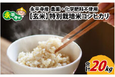 【玄米】 令和6年度産 永平寺町産 農薬不使用・化学肥料不使用 特別栽培米 コシヒカリ 20kg  [F-033020]