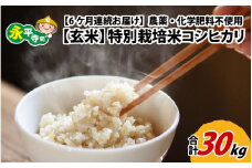 【6ヶ月連続お届け】【玄米】 令和6年度産 永平寺町産 農薬不使用・化学肥料不使用 特別栽培米 コシヒカリ 5kg×6ヶ月（計30kg） [H-033071]  米定期便 定期便 頒布会 