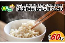【6ヶ月連続お届け】【玄米】 令和6年度産 永平寺町産 農薬不使用・化学肥料不使用 特別栽培米 コシヒカリ 10kg×6ヶ月（計60kg）[K-033087]  米定期便 定期便 頒布会 