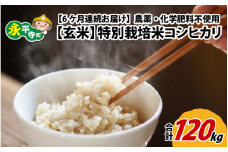 【6ヶ月連続お届け】【玄米】 令和6年度産 永平寺町産 農薬不使用・化学肥料不使用 特別栽培米 コシヒカリ 20kg×6ヶ月（計120kg）[M-033084]  米定期便 定期便 頒布会 