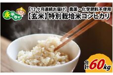 【12ヶ月連続お届け】【玄米】 令和5年度産 永平寺町産 農薬不使用・化学肥料不使用 特別栽培米 コシヒカリ 5kg×12ヶ月（計60kg）  [K-033088]