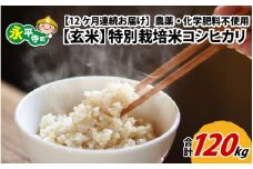 【12ヶ月連続お届け】【玄米】 令和5年度産 永平寺町産 農薬不使用・化学肥料不使用 特別栽培米 コシヒカリ 10kg×12ヶ月（計120kg）  [M-033085]