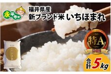 令和6年度産 福井県産新ブランド米 いちほまれ 5kg [A-002025]