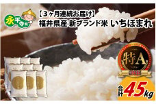 【3ヶ月連続お届け】令和6年度産 福井県産新ブランド米 いちほまれ  15kg（5kg×3袋）×3ヶ月（計45kg） [H-002031]  米定期便 定期便 頒布会 