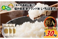【6ヶ月連続お届け】令和6年度産 福井県産新ブランド米 いちほまれ 5kg×6ヶ月（計30kg） [F-002004] / 定期便 6回 6ヵ月 6ヶ月 6カ月 6か月 6ケ月 5キロ 特a  米定期便 定期便 頒布会 
