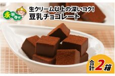 生クリーム以上の深いコク！豆乳チョコレート 9粒×2箱 [A-013005] バレンタイン チョコ 洋菓子 濃厚 生チョコ  豆乳 バレンタインデー ホワイトデー 福井県 永平寺 生チョコレート チョコレート ダークチョコ ダークチョコレート ギフト プレゼント 箱
