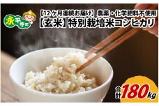 【12ヶ月連続お届け】【玄米】 令和5年度産 永平寺町産 農薬不使用・化学肥料不使用 特別栽培米 コシヒカリ 15kg×12ヶ月（計180kg）  [N-033079]