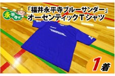  ハンドボールチーム「福井永平寺ブルーサンダー」オーセンティックＴシャツ[B-043001]