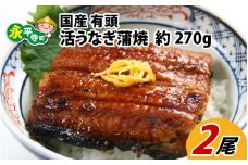 国産 活うなぎ蒲焼 有頭 約270g 2尾 2～4人前《ご寄付後、発送直前にひとつひとつ手焼き！》 [C-044001]