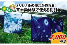 草木染体験2,000円分割引　オリジナルのハンカチ・バンダナ・スカーフ作りなど