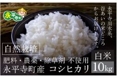【令和6年産 新米】自然栽培米 永平寺町産 コシヒカリ 【白米】10kg　無農薬 化学肥料  除草剤 不使用 福井県 永平寺