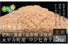 【令和6年産 新米】自然栽培米 永平寺町産 コシヒカリ 【玄米】５kg 無農薬 化学肥料  除草剤 不使用 福井県 永平寺  [B-061001]