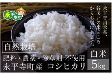 【令和6年産 新米】自然栽培米 永平寺町産 コシヒカリ 【白米】５kg　無農薬 化学肥料  除草剤 不使用 福井県 永平寺