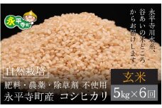 【令和6年産 新米】【6ヶ月連続お届け】自然栽培米 永平寺町産 コシヒカリ 【玄米】５kgx6ヶ月（計30kg）無農薬 化学肥料  除草剤 不使用 福井県 永平寺 定期便 [I-061001]