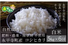 【令和6年産 新米】【6ヶ月連続お届け】自然栽培米 永平寺町産 コシヒカリ 【白米】５kgx6ヶ月（計30kg）無農薬 化学肥料  除草剤 不使用 福井県 永平寺 定期便