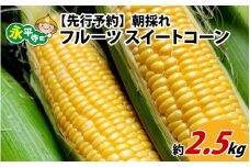 【先行予約】永平寺町産朝採れフルーツスイートコーン厳選　高糖度【2025年7月より順次発送】味来９０ ピクニックコーン 永平寺町 野菜 旬 お取り寄せ とうもろこし トウモロコシ コーン スイートコーン 高糖度 味来 特産物 一番果 令和6年 甘い  [A-050001]