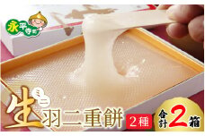 12/19 あさイチ テレビ放送 ミニ生羽二重餅 2種セット（しろ・京きなこ入り）[A-011005] / 菓子 きなこ 羽二重餅 はぶたえもち 福井名物 スイーツ 羽二重餅セット 羽二重餅詰合せ 餅 もち 福井 永平寺 マエダセイカ はぶたえ 羽二重餅 羽二重 和菓子 生菓子 ギフト プレゼント あさいち