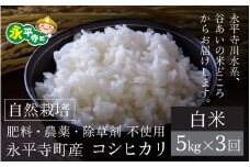 【令和6年産 新米】【3ヶ月連続お届け】自然栽培のコシヒカリ 永平寺町市野々産【白米】５kgx3ヶ月（計15kg）無農薬 化学肥料  除草剤 不使用 福井県 永平寺 定期便