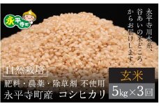 【令和6年産 新米】【3ヶ月連続お届け】自然栽培のコシヒカリ 永平寺町市野々産 【玄米】５kgx3ヶ月（計15kg）無農薬 化学肥料  除草剤 不使用 福井県 永平寺 定期便