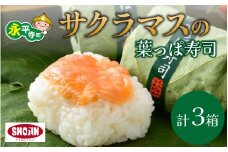 喜ばれる手土産 サクラマスの葉っぱ寿司 3個入り×3箱 [B-068001] / 鱒 マス マス寿司 ます寿司 鱒寿司 寿司 お寿司 サーモン 