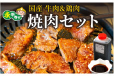 焼肉 BBQ セット 焼肉  味付け 肉 BBQ バーベキュー 牛ハラミ ホルモン 若鳥 親鳥 国産 小分け おつまみ 冷凍 アウトドア 永平寺町  [C-019003]　
