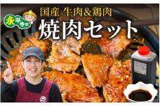 焼肉 BBQ セット 焼肉  味付け 肉 BBQ バーベキュー 牛ハラミ ホルモン 若鳥 親鳥 国産 小分け おつまみ 冷凍 アウトドア 永平寺町  [C-019003]　