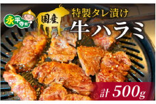 国産 特製タレ漬け牛ハラミ 250gx2パック（計500g） [B-019007]