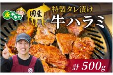 国産 特製タレ漬け牛ハラミ 250gx2パック（計500g） [B-019007]