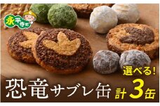 恐竜サブレ缶 (大) 2種類各1個 + (小) 4種類から選べる1個　 計3缶 /  恐竜 サブレ お菓子 クッキー 米粉 おかし 洋菓子 詰め合わせ デザート 人気 おすすめ 永平寺 福井 福井県 坐禅 恐竜 北陸 [C-026005]