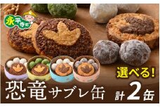 恐竜サブレ缶（小）選べるクッキー缶2個 / 恐竜 サブレ お菓子 クッキー 米粉 おかし 洋菓子 詰め合わせ デザート 人気 おすすめ 永平寺 福井 福井県 坐禅 恐竜 北陸 [A-026034]