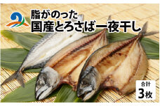 脂がのった 国産とろさば一夜干し 3枚